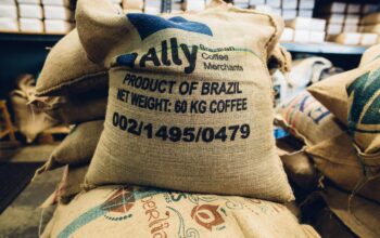 pexels-kelly-2868982